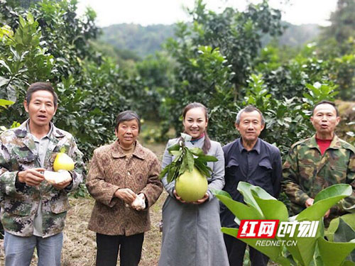 洪江市禹甜科技有限公司,農產(chǎn)品的批發(fā)零售