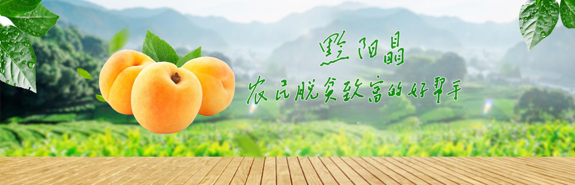 洪江市禹甜科技有限公司_黔陽(yáng)瞐_農產(chǎn)品的批發(fā)零售